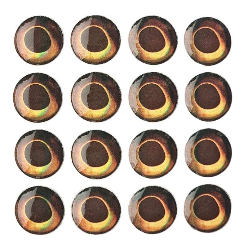 Holographic 3D Fish Eyes -- Earth