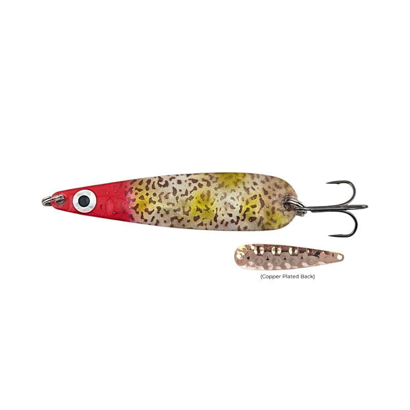 The Little Hoser - Scarlet Goby COPPER BACK